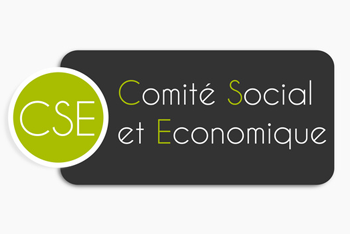 COMITÉ SOCIAL ET ÉCONOMIQUE (CSE)